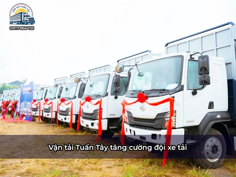 Vận tải Tuấn Tây tăng cường đội xe tải, sẵn sàng vận chuyển bắc nam mùa cao điểm